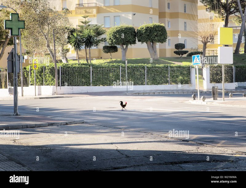 Immagine: Il Mito della Chicken Road: Gioco da Scommessa in Italia è in Ascesa